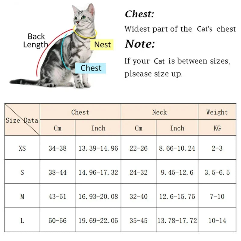 Pet Cat Puppy Outdoor Walking Harness and Leash Set