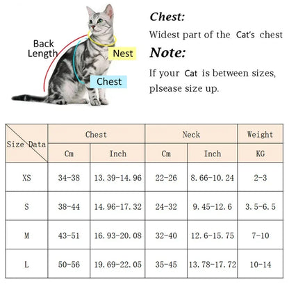 Pet Cat Puppy Outdoor Walking Harness and Leash Set