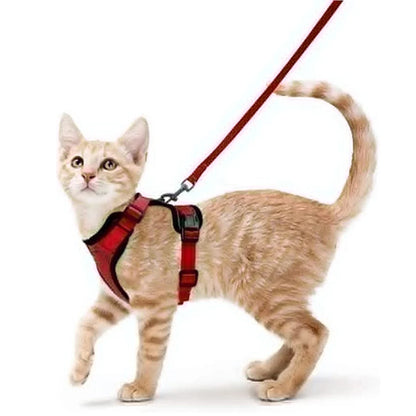 Pet Cat Harness and Leash Adjustable