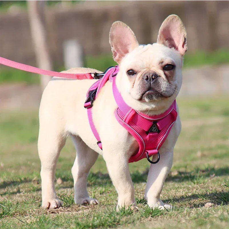 No Pull Pet Dog Harness and Leash Set Adjustable