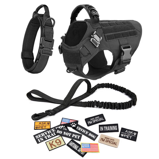 Pet Dog Collar Harness Leash Patches Set