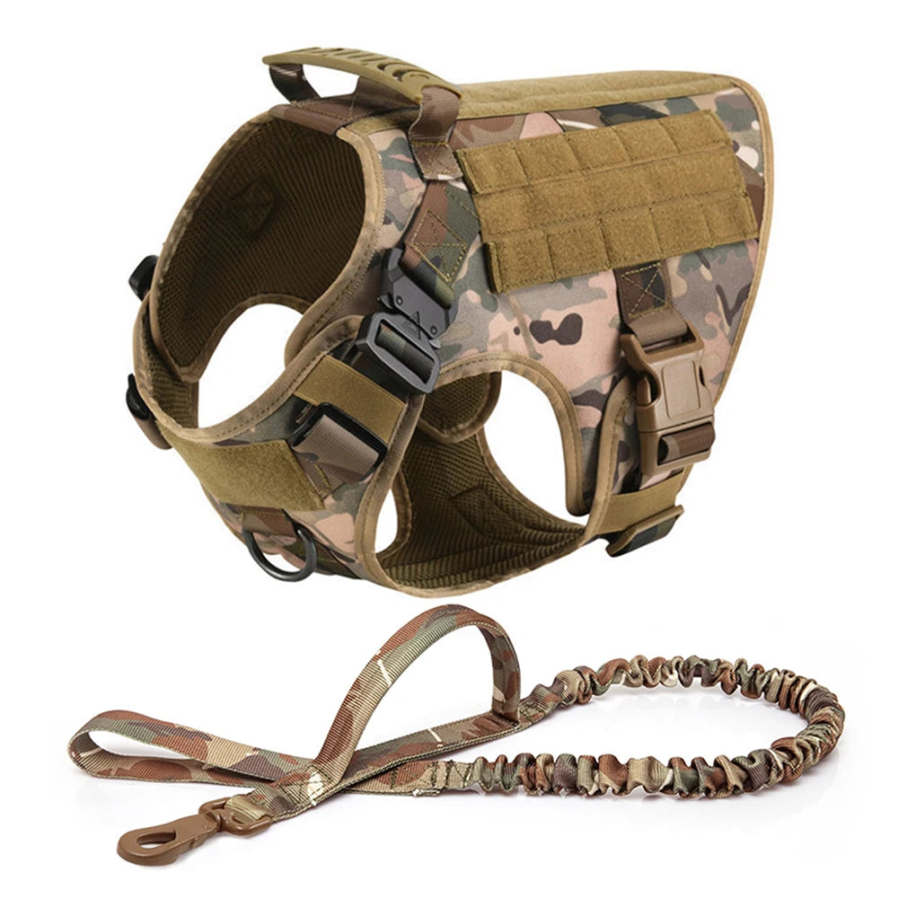 Large Pet Dog Harness And Leash Set