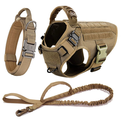 Large Pet Dog Harness And Leash Set