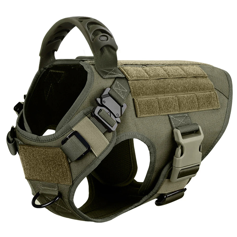 Large Pet Dog Harness And Leash Set