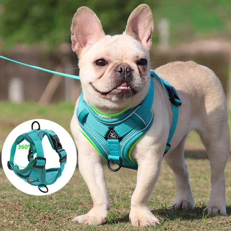 No Pull Pet Dog Harness and Leash Set Adjustable