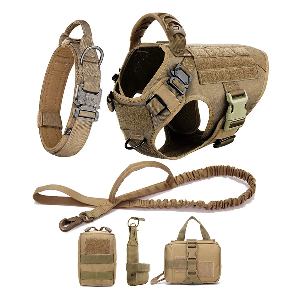 Large Pet Dog Harness And Leash Set
