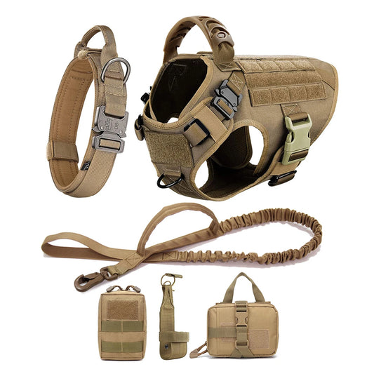 Large Pet Dog Harness And Leash Set