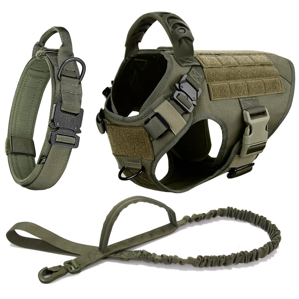 Large Pet Dog Harness And Leash Set
