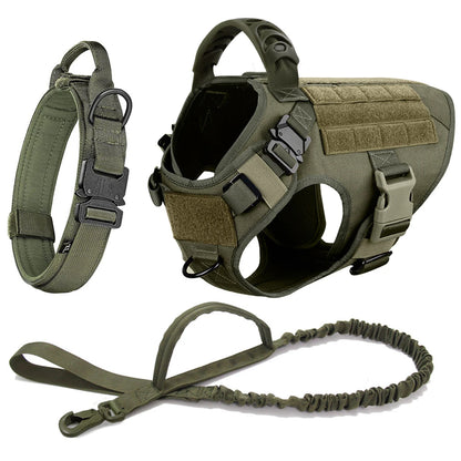 Large Pet Dog Harness And Leash Set
